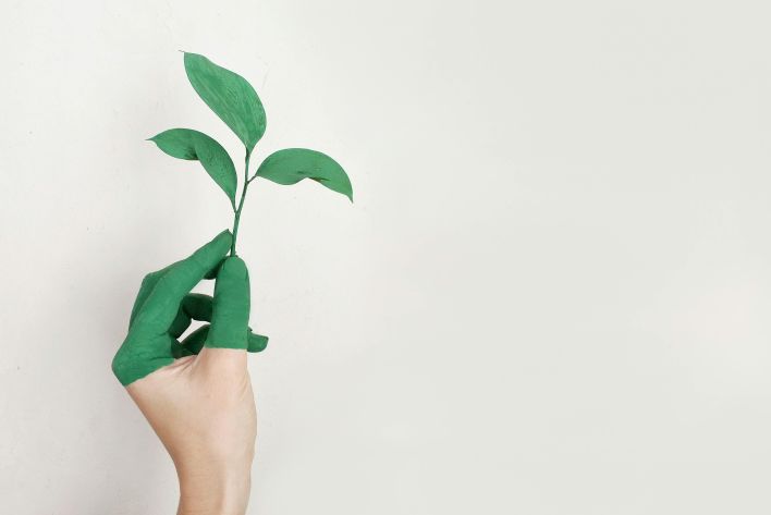 A hand painted green holds a fresh plant sprout against a light background, symbolizing growth and sustainability.
